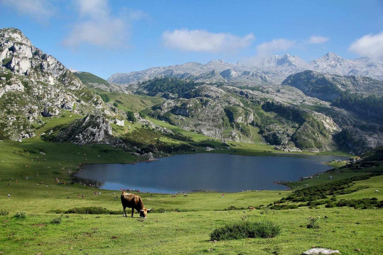 Casa Noval Zona Rural En El Centro De Asturias Apartment Bimenes Ngoại thất bức ảnh