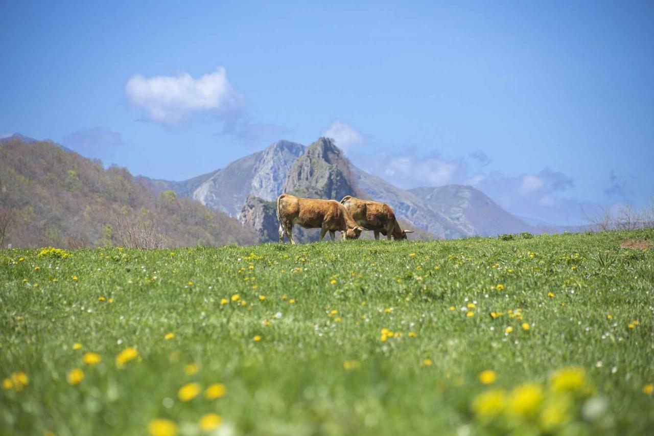 Casa Noval Zona Rural En El Centro De Asturias Apartment Bimenes Ngoại thất bức ảnh